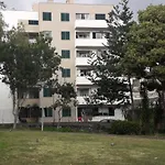 Petrolhead 丰沙尔