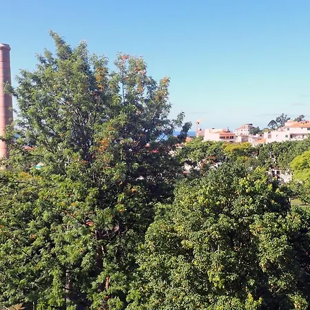 Petrolhead Apartman *