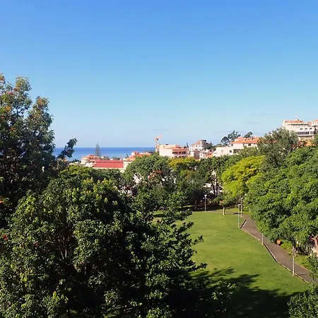 Petrolhead Apartment Funchal (Madeira)