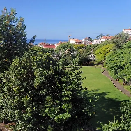 Apartment Petrolhead Funchal (Madeira)