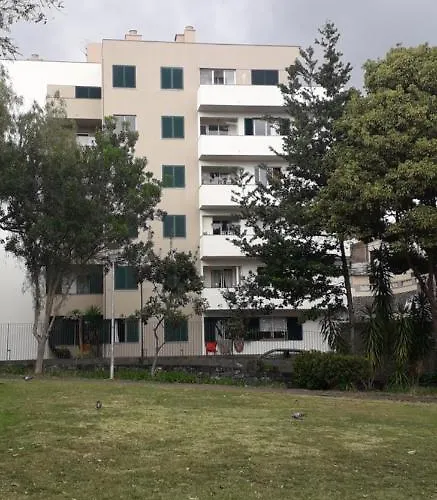 Petrolhead 丰沙尔