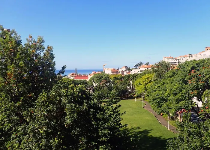 Petrolhead 公寓 丰沙尔