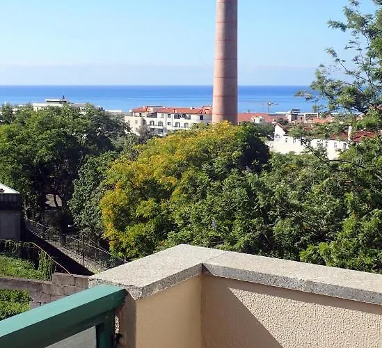 Petrolhead 公寓 丰沙尔