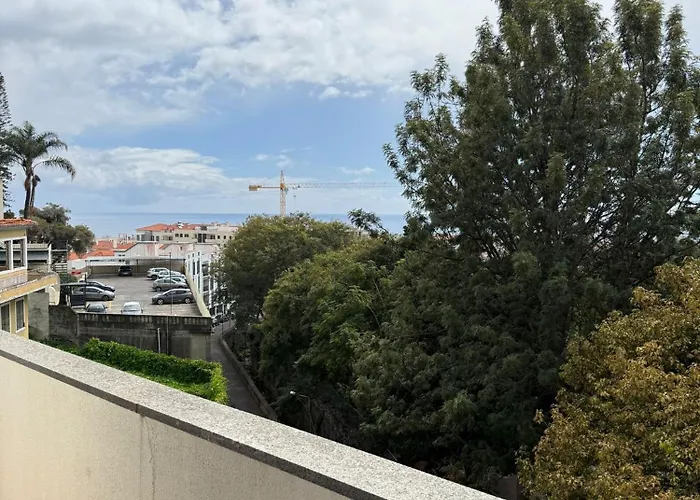 Petrolhead 丰沙尔